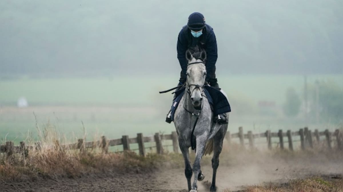 Coronavirus Outbreak: Competitive sports resume in England with greyhound, horse racing and snooker