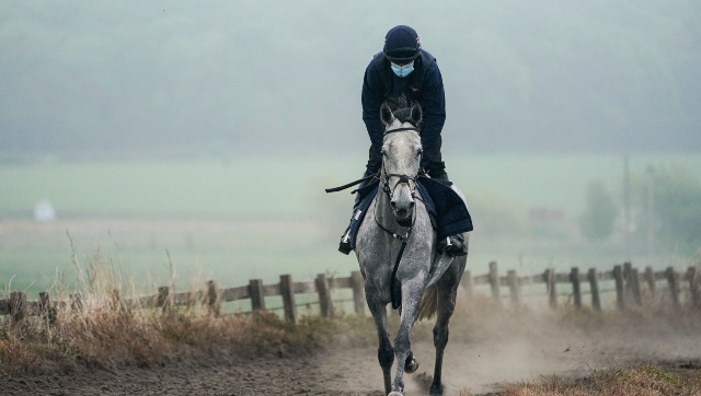 Coronavirus Outbreak: Competitive sports resume in England with greyhound, horse racing and snooker Coronavirus Outbreak: Competitive sports resume in England with greyhound, horse racing and snooker