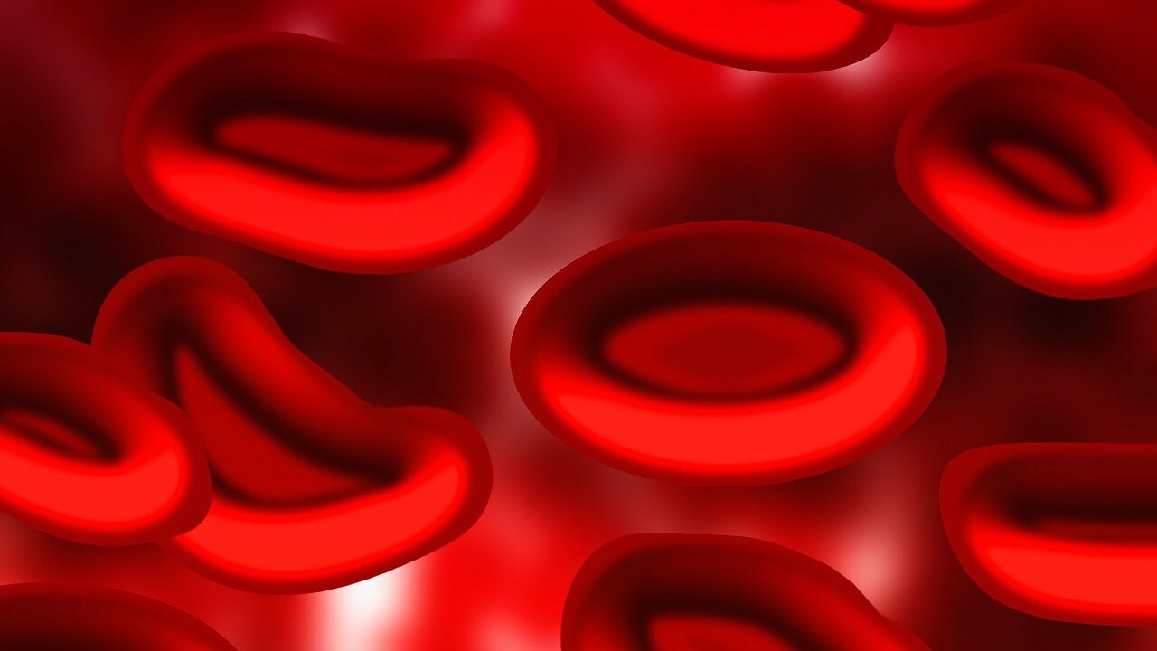 There are four main blood types — A, B, AB and O — and “it’s determined by proteins on the surface of your red blood cells,”