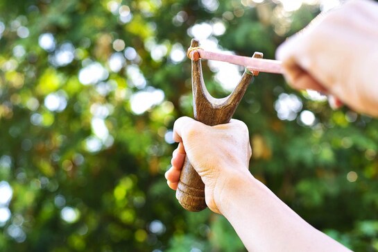 A HUNTING WE WILL GO WITH THE BEST SLINGSHOTS ON SHOW. A HUNTING WE WILL GO WITH THE BEST SLINGSHOTS ON SHOW.