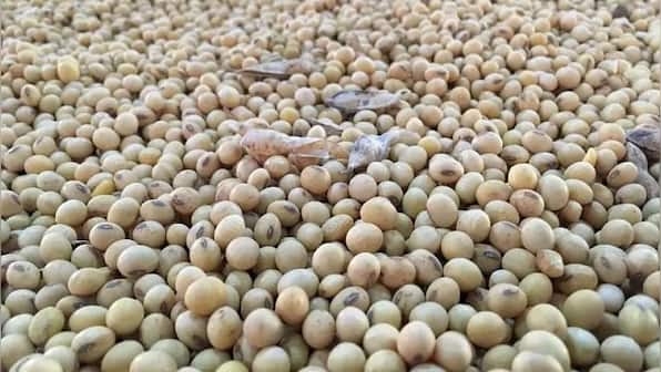 Improved brain function, reduced risk of sleep disorders among health benefits of adding soy foods to your diet