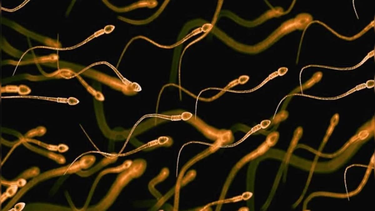 Scientists discover new way to isolate high-quality quality sperm to help improve IVF success rate