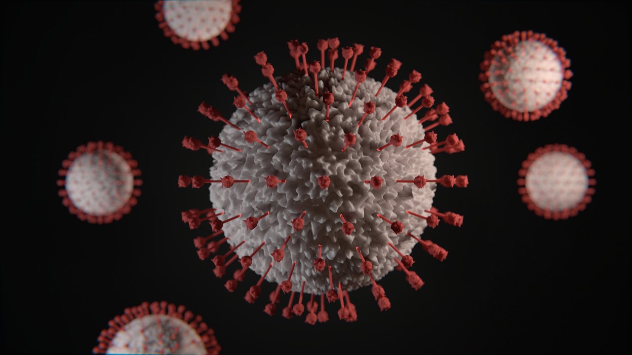 WHO COVID-19 origins report: Which animals might've passed COVID-19 virus to humans? WHO COVID-19 origins report: Which animals might've passed COVID-19 virus to humans?
