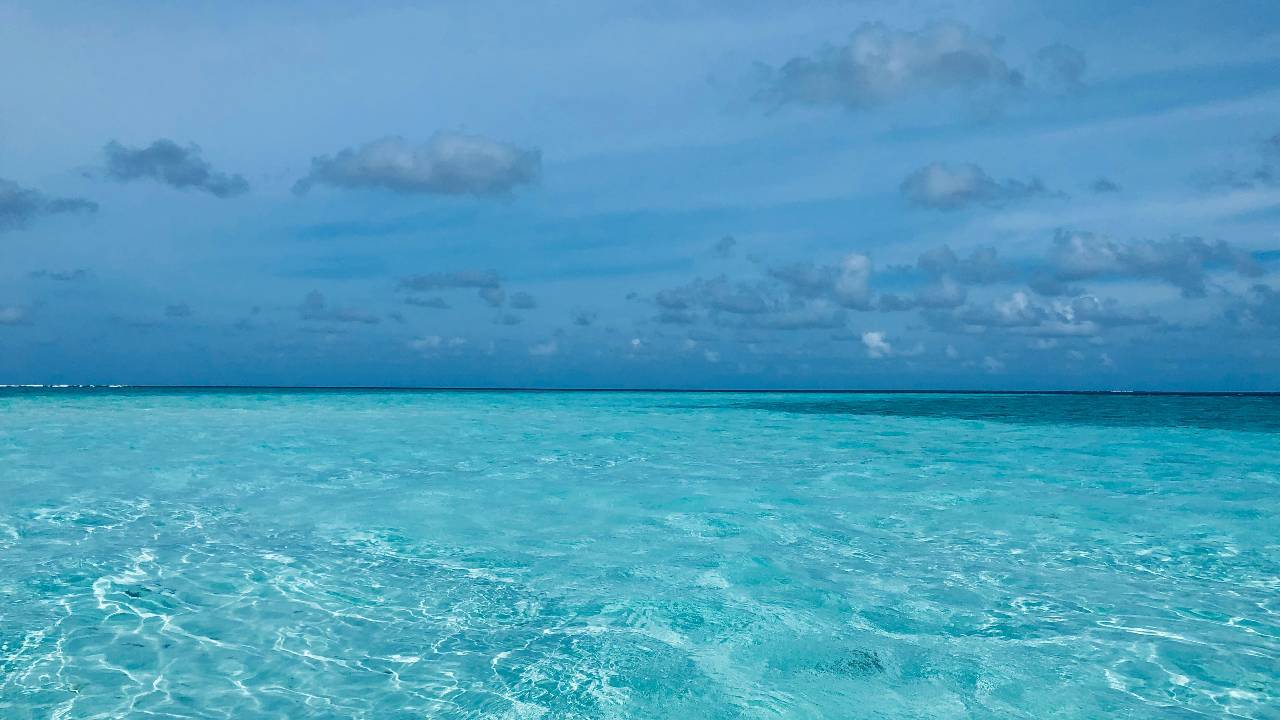 World Environment Day 2020: Researchers find cleanest air on Earth, say region remains unaffected by human activities World Environment Day 2020: Researchers find cleanest air on Earth, say region remains unaffected by human activities