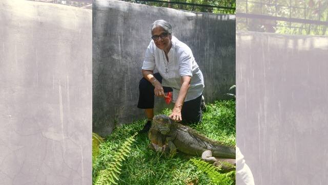 Visiting Caesar, our iguana. Photo courtesy Zai Whitaker