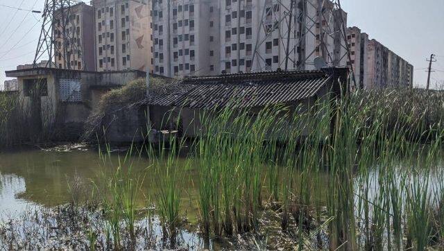 A resettlement colony in Perumbakkam. Building resettlement colonies on wetlands can cause new issues with flooding and water drainage in Chennai. Image via Undark/ Theo Whitcomb