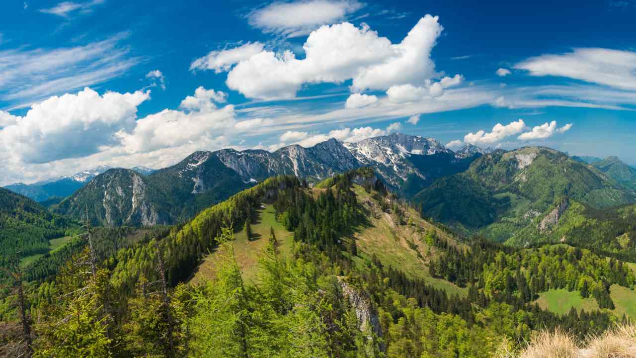  Some of the worlds oldest Alpine plants are in Chinas Hengduan mountain ranges, study finds