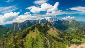 Some of the world's oldest Alpine plants are in China's Hengduan mountain ranges, study finds