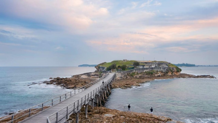 A third of land, ocean area on Earth could be protected without harming economy: Report