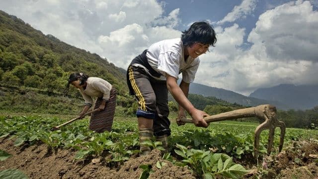 Farming in Bhutan. Image via The Third Pole/ Lawrence Hislop