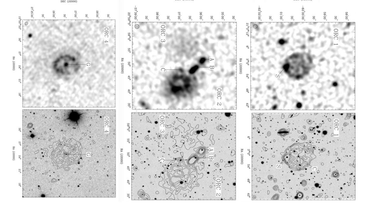 The circular objects spotted by radiotelescopes in the EMU Pilot Survey. Image: EMU/Norris et al.