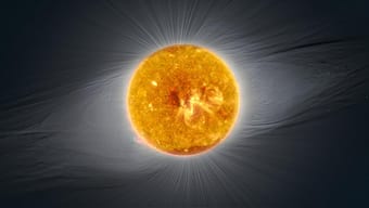 As Sun enters 'solar cycle 25', experts foresee below-average solar activity till July 2021