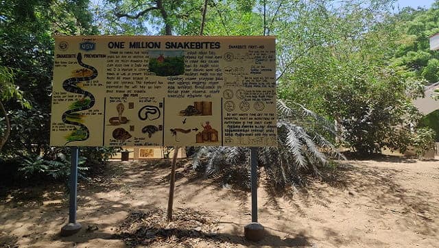 Hand-painted information on snakebite treatment at the Madras Crocodile Bank. Photo by Gnaneswar Ch