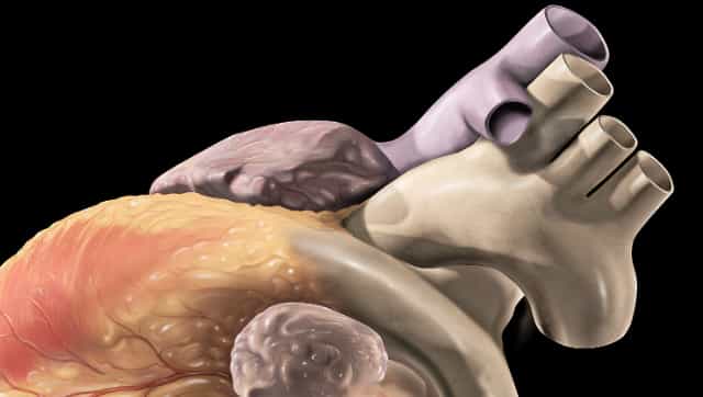 Why it is important than ever to care for your heart till COVID-19 is around Why it is important than ever to care for your heart till COVID-19 is around