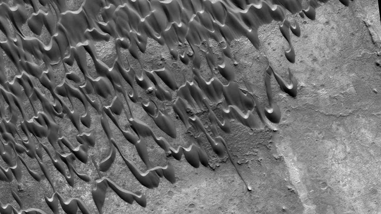 Large scale dune and ripple migration in Nili Patera region on Mars. Image: University of Arizona