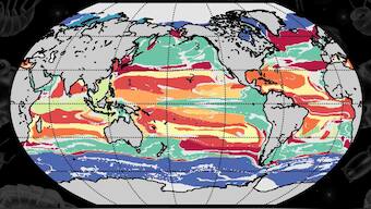 Machine learning finds use in creating sharper maps of 'ecosystem' lines in the ocean