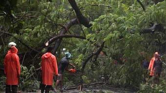 At least 43 killed in lightning strikes in Bihar, Uttar Pradesh; heavy rains lash parts of western Maharashtra