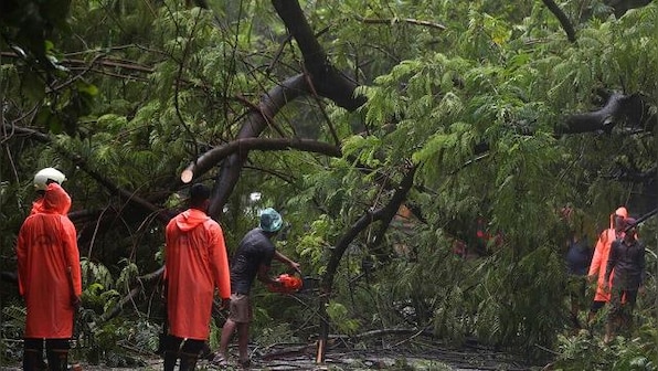 At least 43 killed in lightning strikes in Bihar, Uttar Pradesh; heavy rains lash parts of western Maharashtra