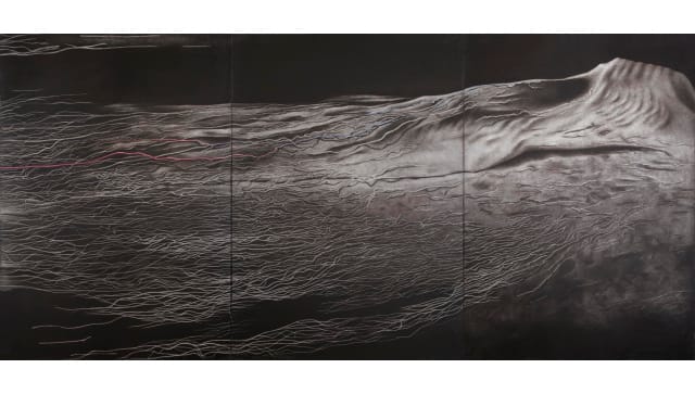 Rameshwar Broota, Metamorphosis VI, 1986, Oil on canvas, Collection KNMA 