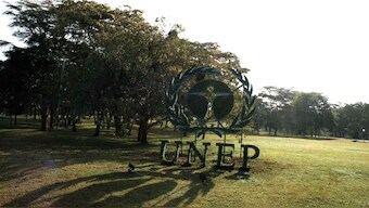 Diseases like COVID-19 that jump from animals to people driven by habitat loss: UN report