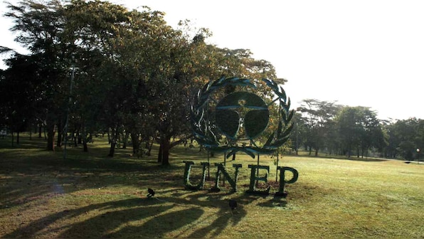 Diseases like COVID-19 that jump from animals to people driven by habitat loss: UN report