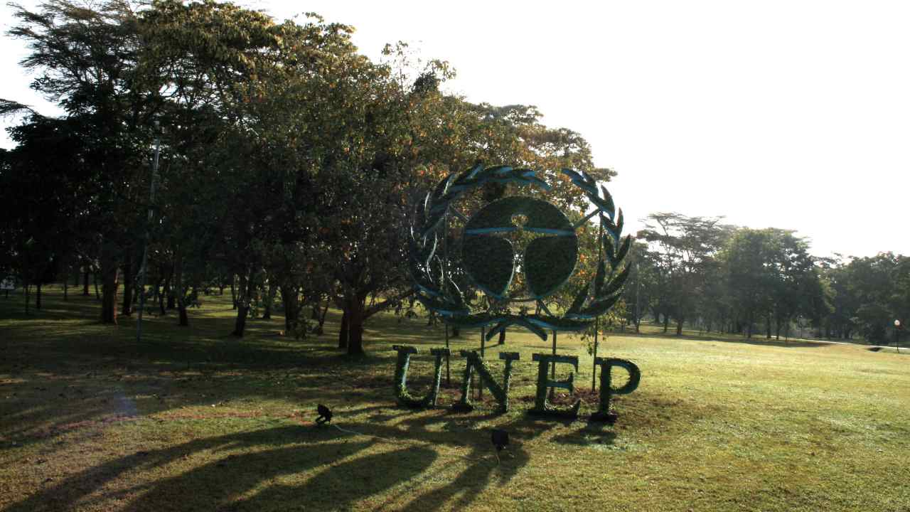 Diseases like COVID-19 that jump from animals to people driven by habitat loss: UN report Diseases like COVID-19 that jump from animals to people driven by habitat loss: UN report