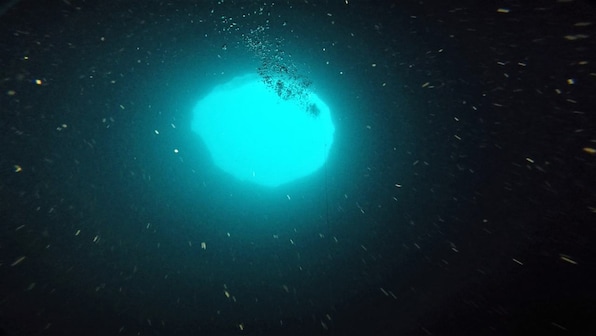 Green Banana dive to mysterious spot off Florida coast could help shed light on underwater sinkholes