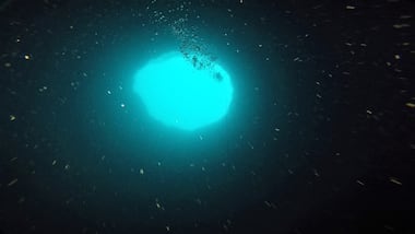 Green Banana dive to mysterious spot off Florida coast could help shed light on underwater sinkholes