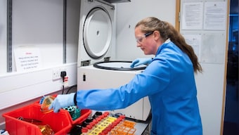 'COVID-19 pandemic severe, but not necessarily big one,' WHO warns crisis may get worse