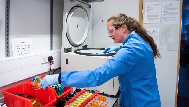 Oxford University COVID-19 vaccine produces strong antibodies; T-cell response seen till day 56, show initial results Oxford University COVID-19 vaccine produces strong antibodies; T-cell response seen till day 56, show initial results