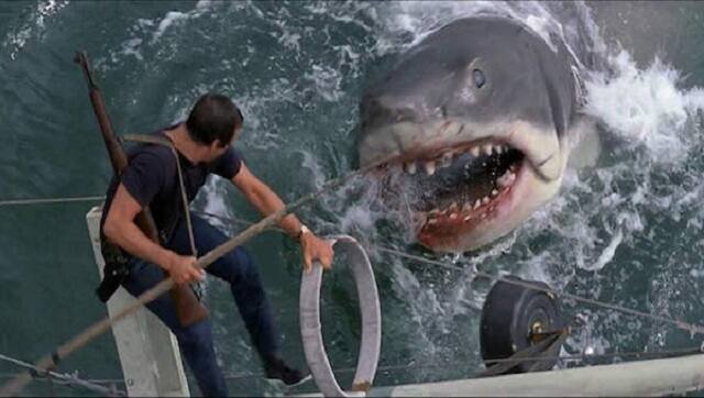 A still from Jaws