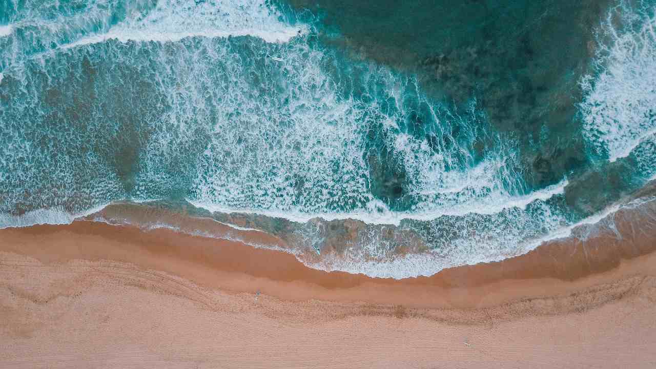 Oceans around the world have captured 10 percent of global carbon emission, new study suggests Oceans around the world have captured 10 percent of global carbon emission, new study suggests