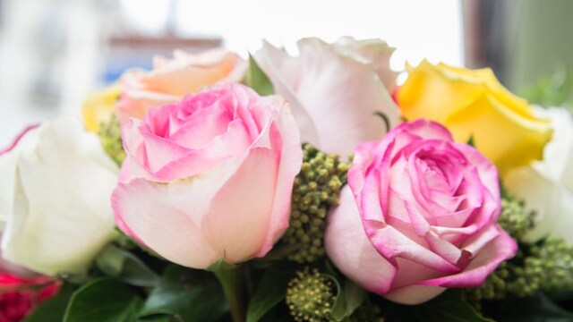 Best artificial flowers to enhance the beauty of any space Best artificial flowers to enhance the beauty of any space