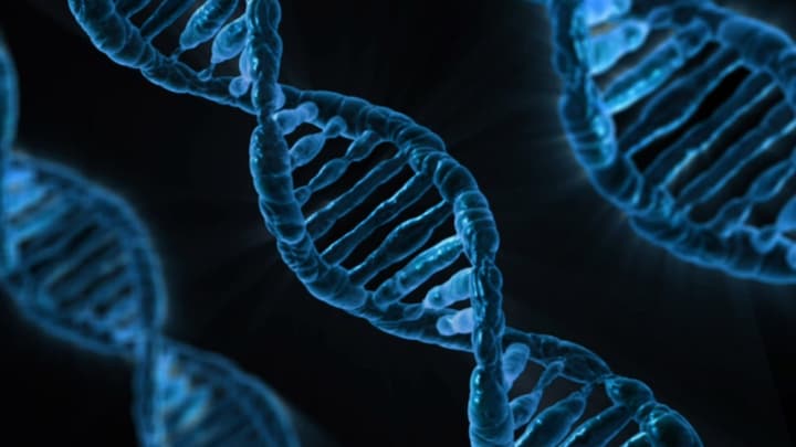 Study of largest human genome database reports its findings on disease-causing gene variants