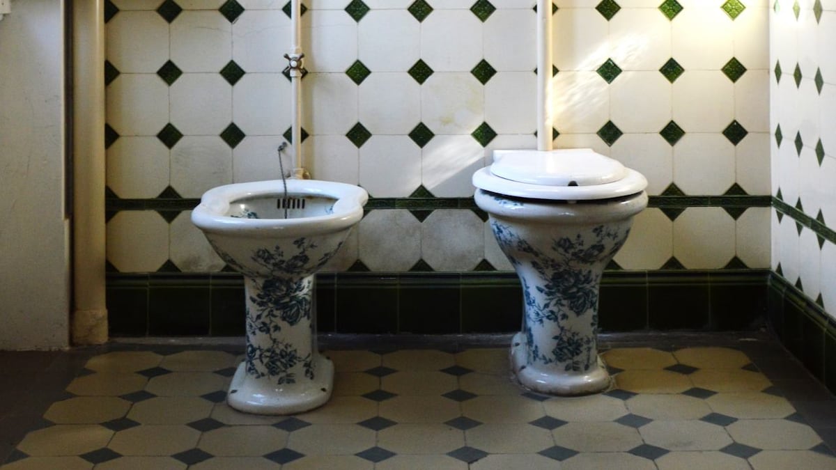 Aerosols sprayed from flushing a public urinal can spread COVID-19, a new study found