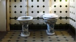 Aerosols sprayed from flushing a public urinal can spread COVID-19, a new study found