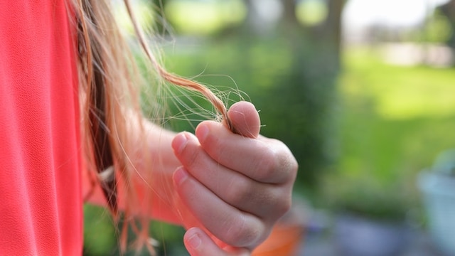 Top oils to control hair fall Top oils to control hair fall