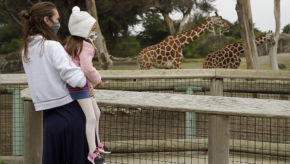 The Zai Whitaker column | In defence of zoos, and why the post-pandemic world needs them more than ever