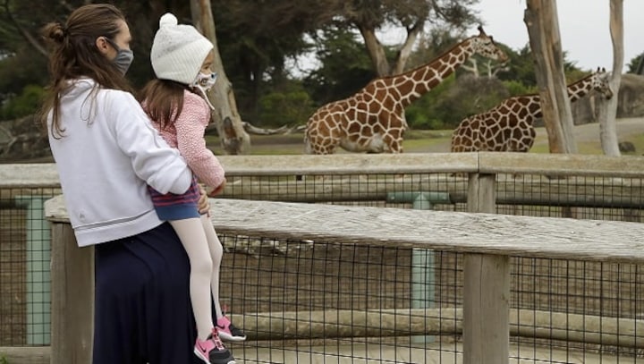 The Zai Whitaker column | In defence of zoos, and why the post-pandemic world needs them more than ever