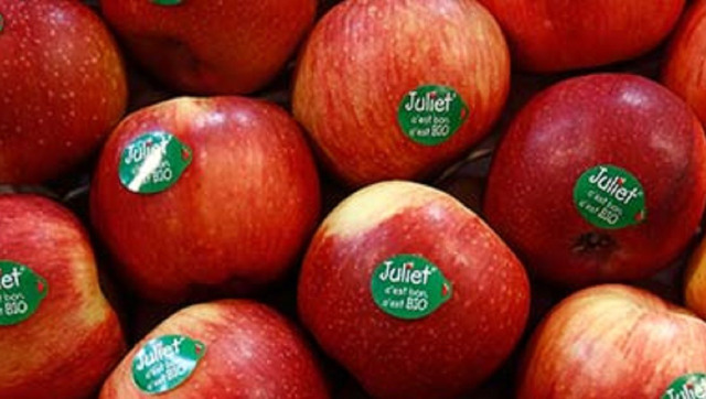 An apple a day might not keep the doctor away: Here's why this fruit, while beneficial, isn't all your body needs An apple a day might not keep the doctor away: Here's why this fruit, while beneficial, isn't all your body needs