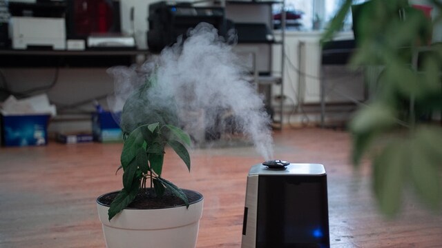 These humidifiers keep you comfortable indoors These humidifiers keep you comfortable indoors