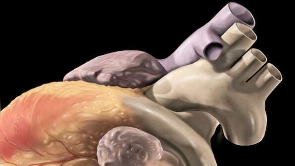 Study recommends Pesco-Mediterranean diet along with intermittent fasting for better heart health