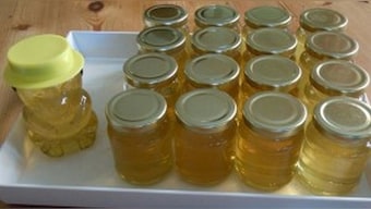 The West just grabbed another piece of India’s ancient wisdom, honey