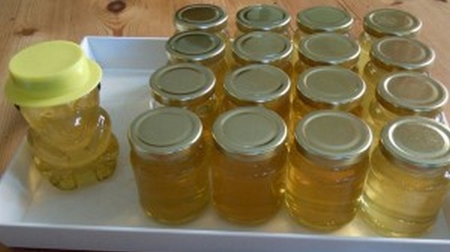 The West just grabbed another piece of India’s ancient wisdom, honey The West just grabbed another piece of India’s ancient wisdom, honey