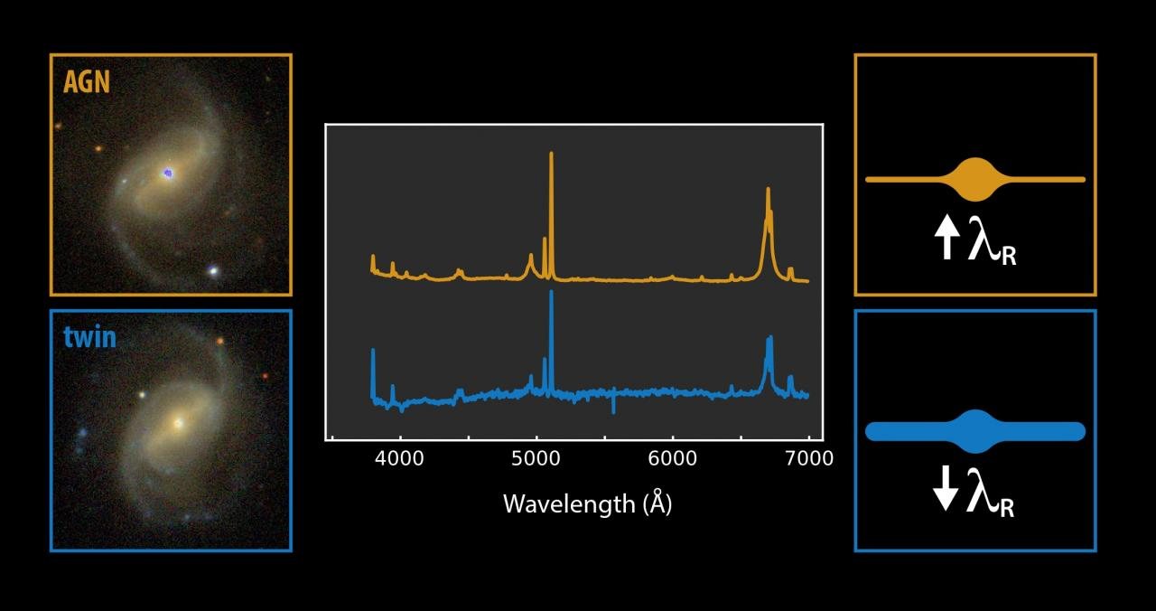  Discs of active, non-active spiral twin galaxies have significant differences, study proposes