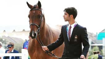 The emotional disconnect: Equestrian show jumpers reveal lockdown impaired rider-horse camaraderie
