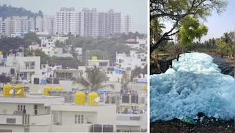 At Bengaluru's Byramangala lake, amid pollution and lack of structural support, a novel farming system flourishes