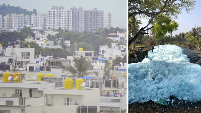 At Bengaluru's Byramangala lake, amid pollution and lack of structural support, a novel farming system flourishes At Bengaluru's Byramangala lake, amid pollution and lack of structural support, a novel farming system flourishes