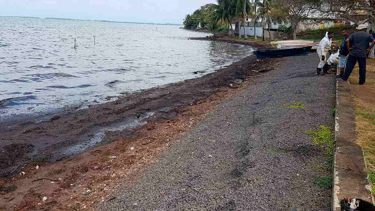 Oil polluting the foreshore on the eastern side of Mauritius, after it leaked from the MV Wakashio. Image credit: Sunil Dowarkasing via AP