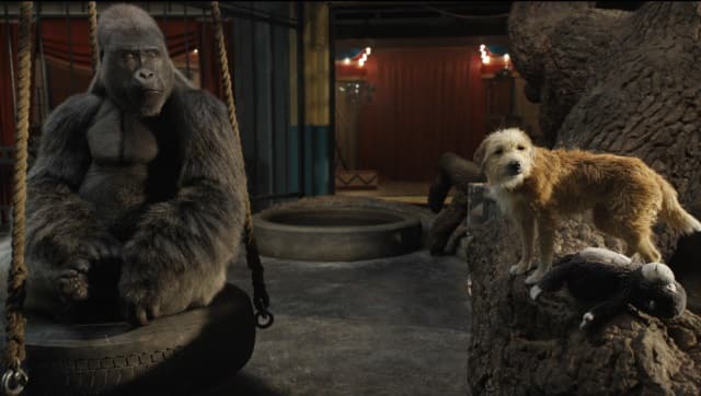 Sam Rockwell as Ivan and Danny DeVito as Bob in a still from The One and Only Ivan